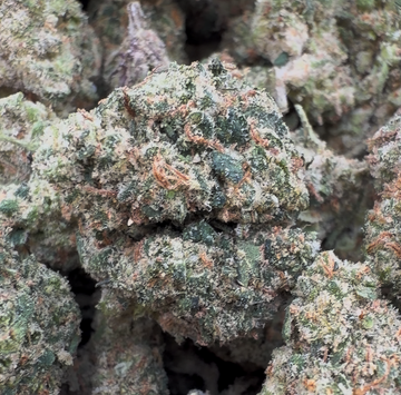 Sour Haze